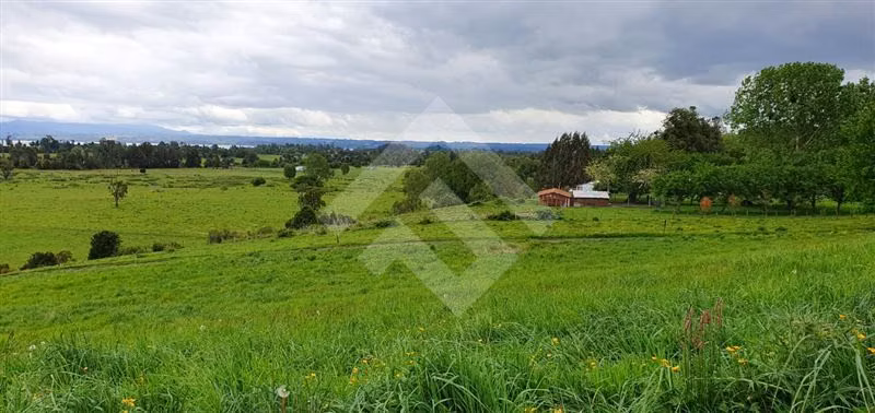 Parcela en venta en Río Bueno
