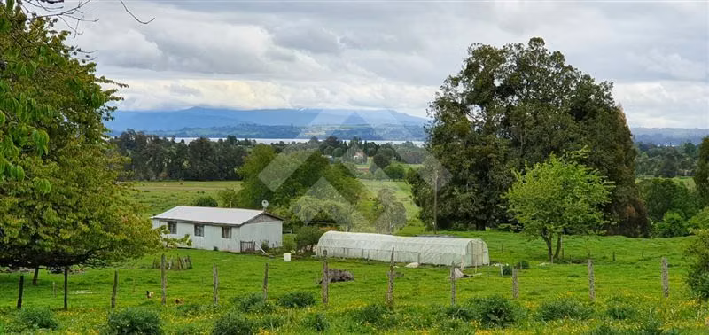 Parcela en venta en Río Bueno