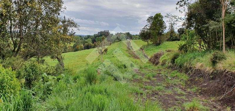 Parcela en venta en Río Bueno - Imagen 8