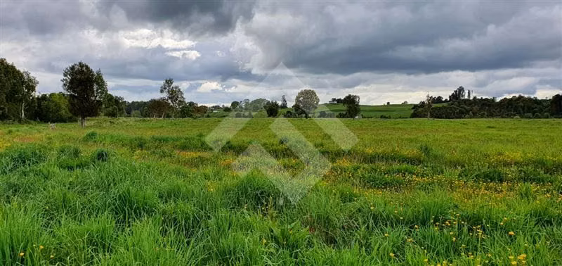Parcela en venta en Río Bueno