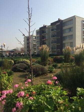 Departamento en venta de 3 dorm. en Maipú - Imagen 16