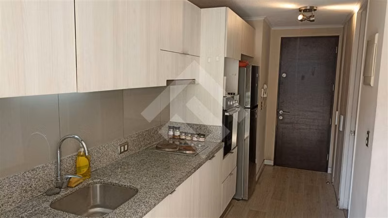 Departamento tipo Estudio, Metro Alberto, Estación Central