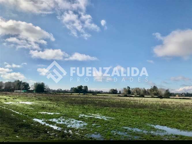 Sitio en venta en San Clemente - Imagen 5