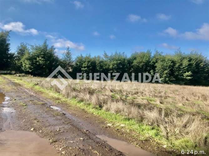 Sitio en venta en San Clemente - Imagen 12