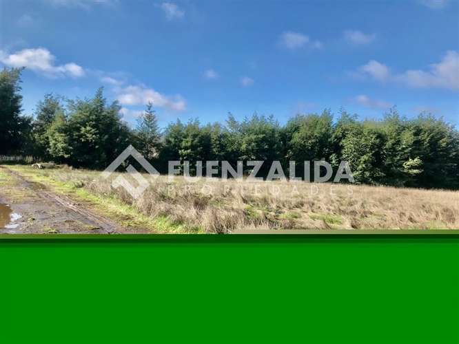 Sitio en venta en San Clemente - Imagen 3