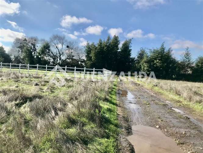 Sitio en venta en San Clemente - Imagen 2