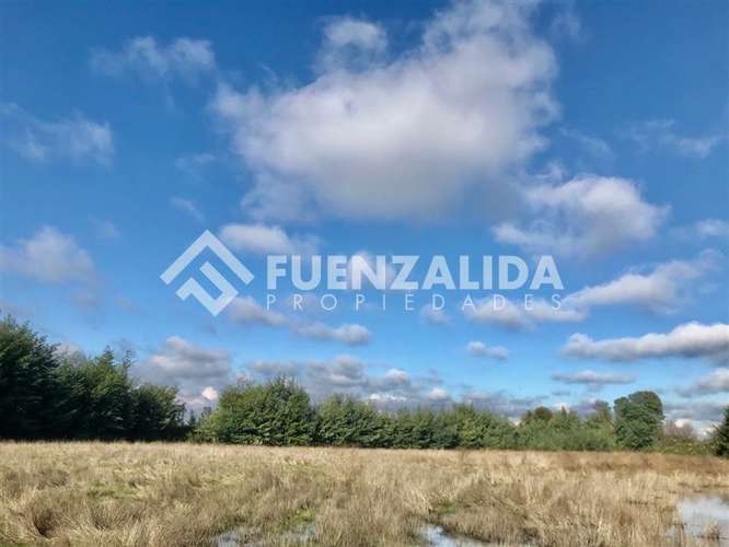 Sitio en venta en San Clemente - Imagen 4