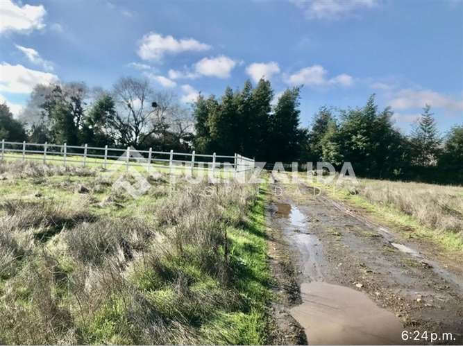 Sitio en venta en San Clemente - Imagen 6