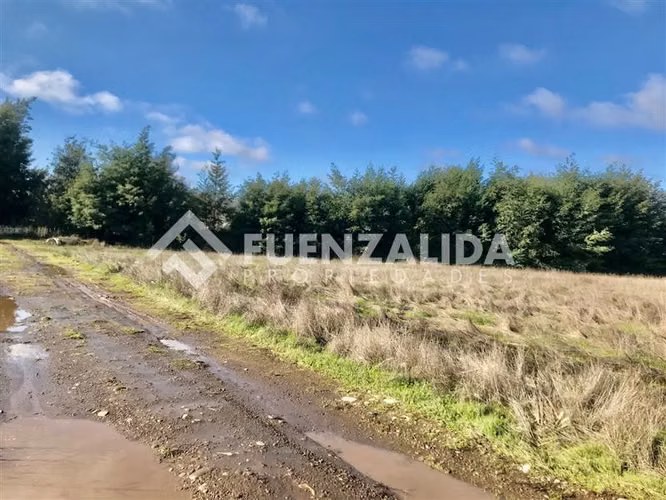 Sitio en venta en San Clemente