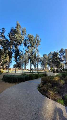 Departamento Amoblado en venta de 2 dorm. en Algarrobo