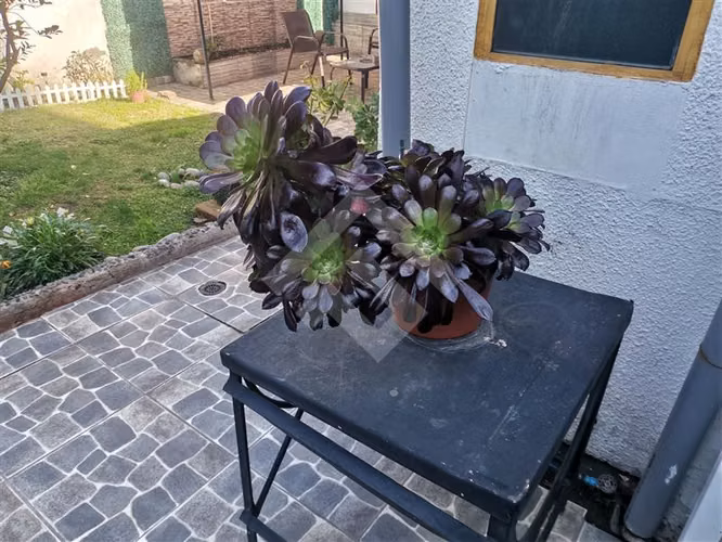 Casa en venta de 7 dorm. en Providencia - Imagen 30