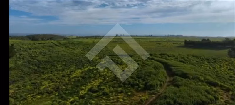 Fundo en venta en Santo Domingo, sector Bucalemu - Imagen 9