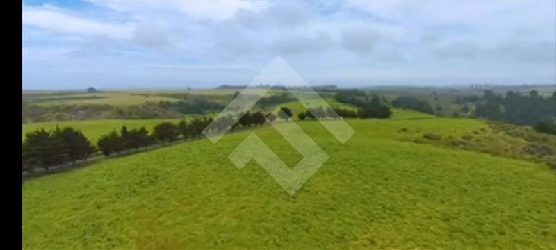 Fundo en venta en Santo Domingo, sector Bucalemu - Imagen 5