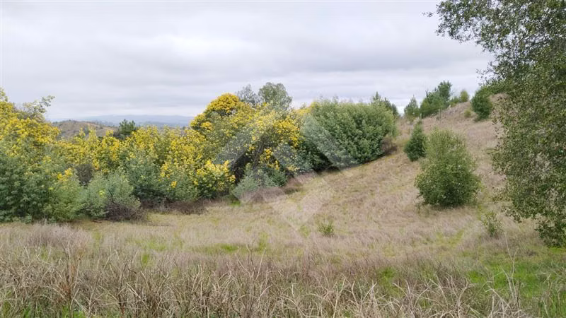 Parcela de 5000 mtrs en venta en Portezuelo Chillan Chillán - Imagen 3