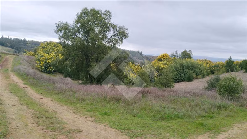 Parcela de 5000 mtrs en venta en Portezuelo Chillan Chillán - Imagen 5