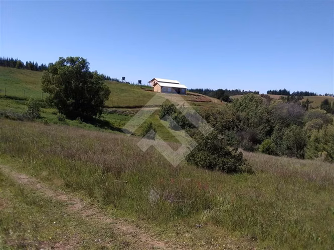 Parcela de 5000 mtrs en venta en Portezuelo Chillan Chillán - Imagen 4