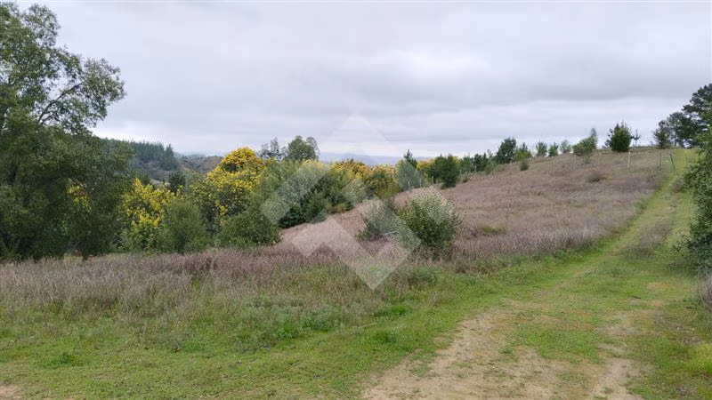 Parcela de 5000 mtrs en venta en Portezuelo Chillan Chillán - Imagen 2