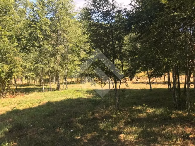 Parcela en venta en Curacautín, camino a Malalcahllo