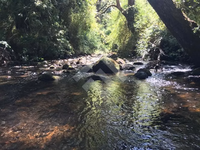 Parcela en venta en Curacautín, camino a Malalcahllo