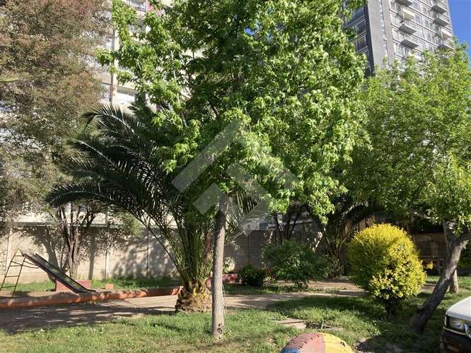 Casa en venta, deptos arriendo. Macul. inversionista...!!! - Imagen 23
