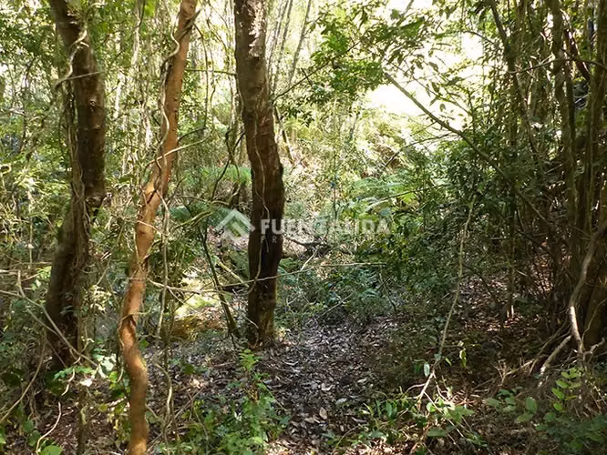 Sitio en venta en Castro