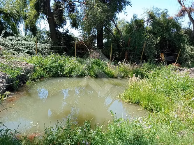 Parcela Agrícola en Venta en Linares 3 Hectáreas