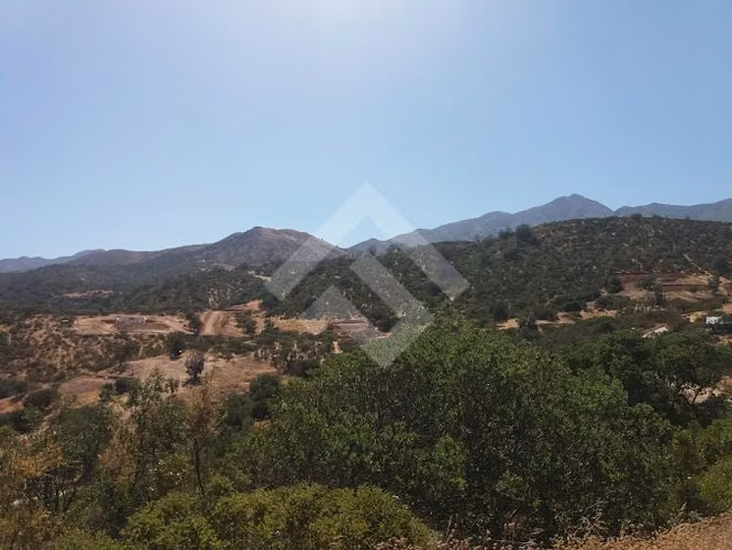 Sitio en venta en Curacaví