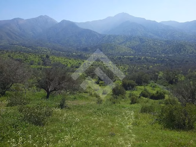 Sitio en venta en Curacaví