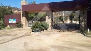 Sitio en venta en Curacaví