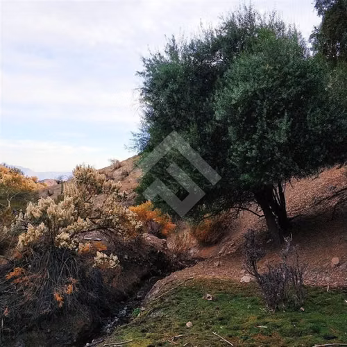 Sitio en venta en Los Andes