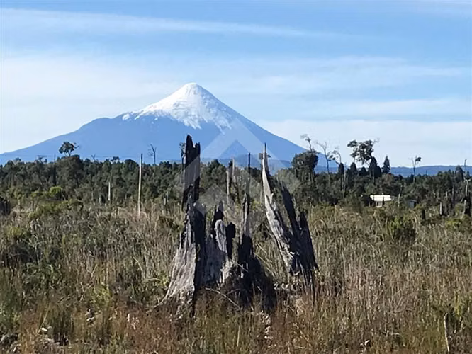 Parcelas exclusivas en Puerto Varas