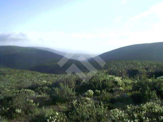 Sitio en venta en Ovalle - Imagen 3