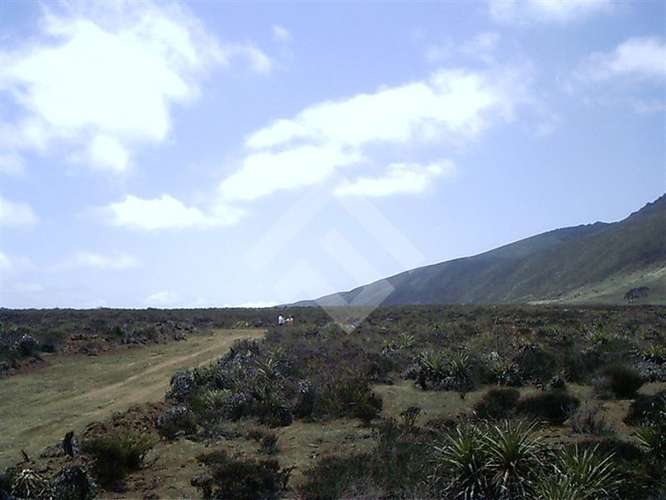 Sitio en venta en Ovalle - Imagen 11