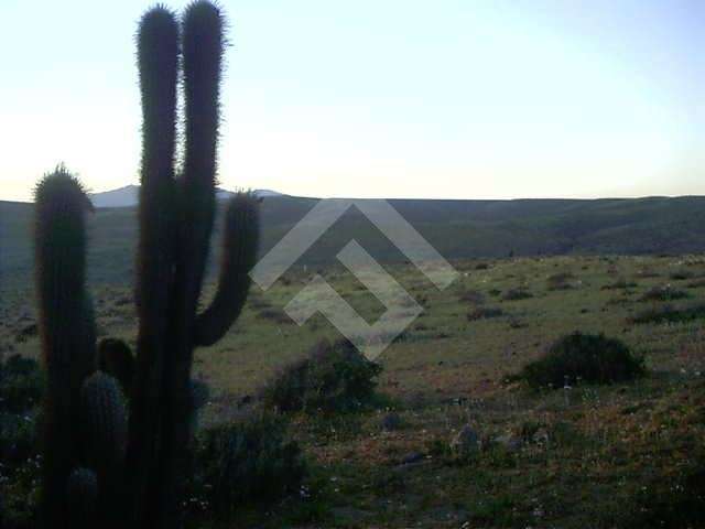 Sitio en venta en Ovalle - Imagen 8