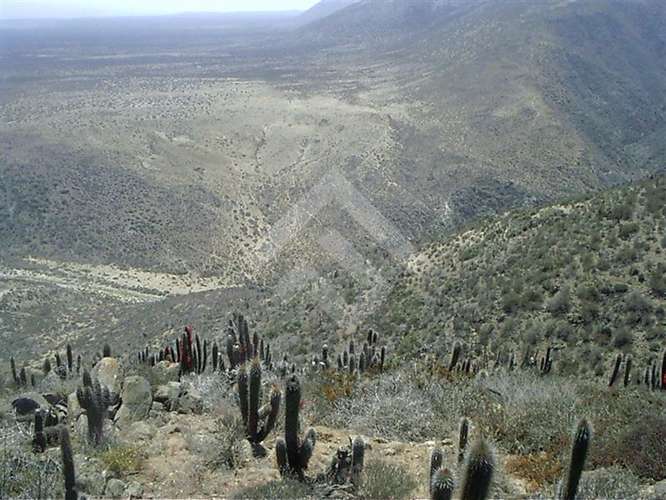 Sitio en venta en Ovalle - Imagen 9