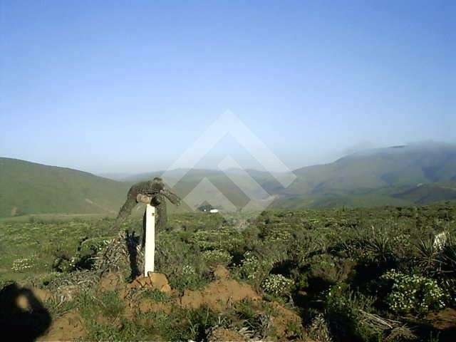 Sitio en venta en Ovalle - Imagen 4