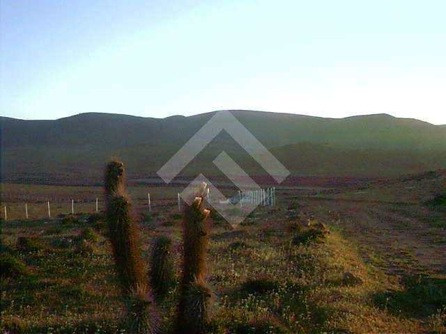 Sitio en venta en Ovalle - Imagen 6