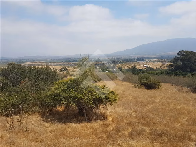 Sitio en Venta en Zapallar