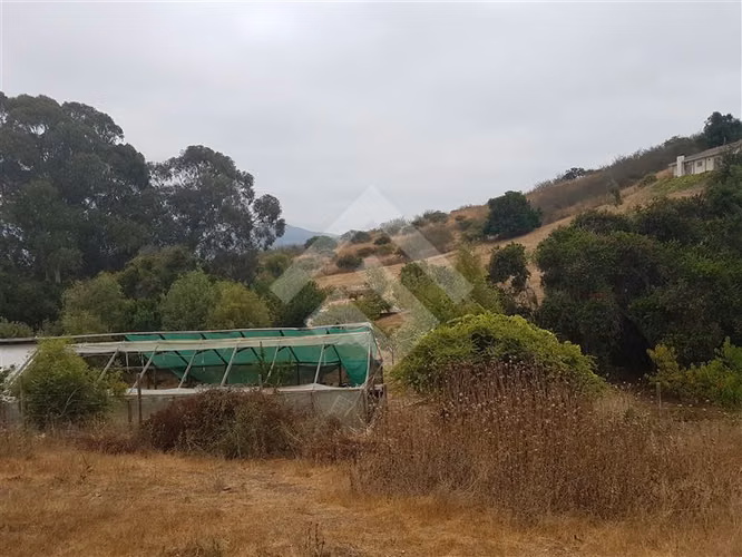 Sitio en Venta en Zapallar