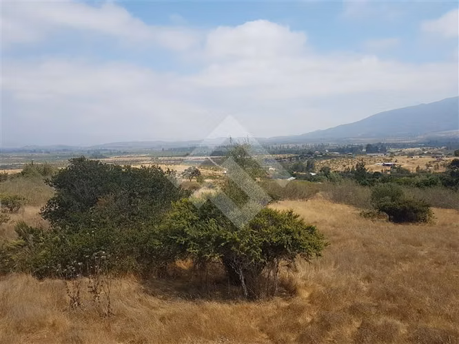 Sitio en Venta en Zapallar