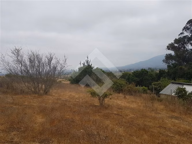 Sitio en Venta en Zapallar