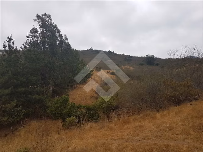 Sitio en Venta en Zapallar