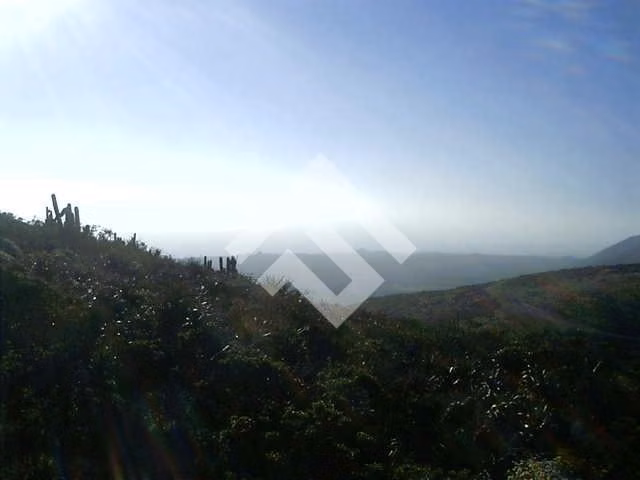 Parcela en venta en Ovalle - Imagen 10