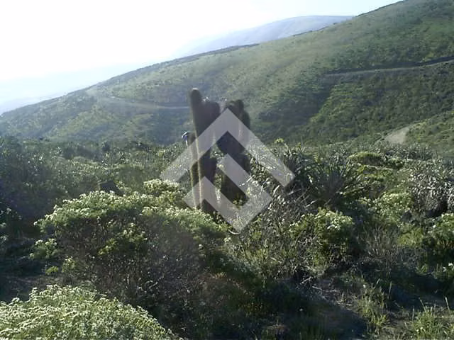Parcela en venta en Ovalle - Imagen 9