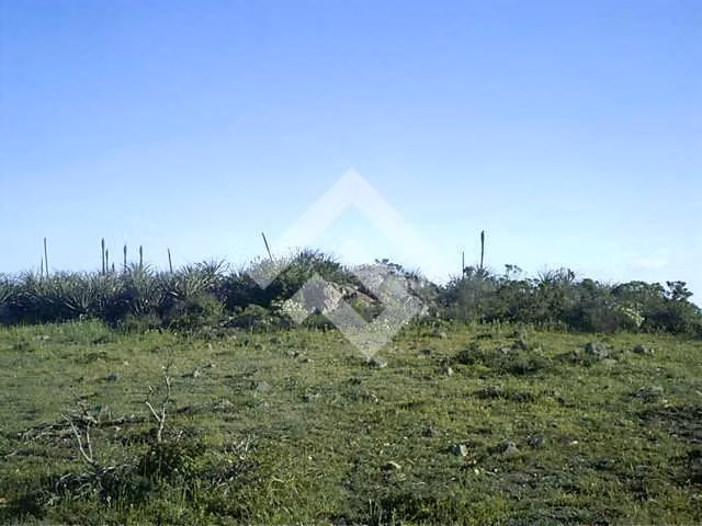 Parcela en venta en Ovalle - Imagen 7