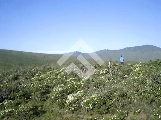 Parcela en venta en Ovalle - Imagen 4