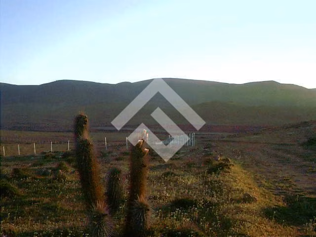 Sitio en venta Talinay Bajo, Ovalle