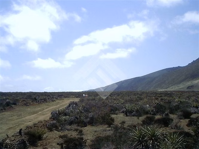 Sitio en venta Talinay Bajo, Ovalle