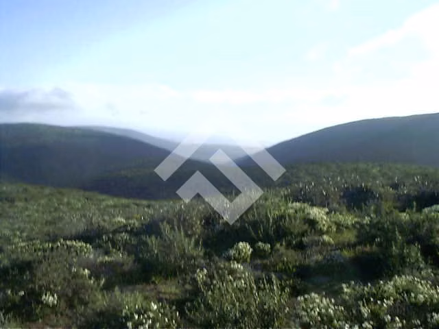 Sitio en venta Talinay Bajo, Ovalle