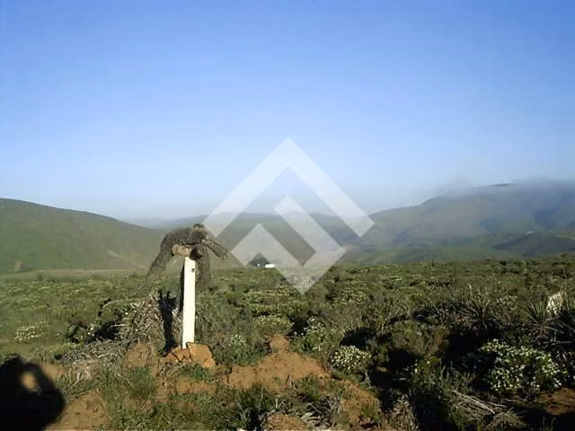 Sitio en venta Talinay Bajo, Ovalle